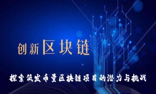探索低發(fā)幣量區(qū)塊鏈項目的潛力與挑戰(zhàn)