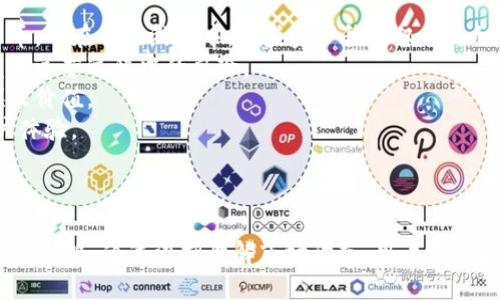 區(qū)塊鏈游戲幣的暴跌：原因與后果分析

區(qū)塊鏈游戲, 游戲幣, 數(shù)字貨幣/guanjianci

## 引言

區(qū)塊鏈技術(shù)的興起為游戲產(chǎn)業(yè)帶來了巨大的變革，特別是游戲幣的出現(xiàn)，讓玩家在游戲中獲得了更多的經(jīng)濟收益。然而，隨著整個市場環(huán)境的變化，區(qū)塊鏈游戲幣的價格也經(jīng)歷了劇烈的波動。本文將詳細(xì)探討區(qū)塊鏈游戲幣暴跌的原因、影響以及未來的發(fā)展趨勢。

## 為什么區(qū)塊鏈游戲幣會暴跌？

在分析區(qū)塊鏈游戲幣的暴跌時，我們需要從幾個方面進行探討。

### 1. 市場情緒和投機行為

區(qū)塊鏈游戲幣的價格暴跌，首先要考慮的是市場的情緒和投機行為。隨著越來越多的投資者進入市場，許多人往往把區(qū)塊鏈游戲幣視為短期收益的工具。這種投機行為在市場牛市時會推動幣價持續(xù)上漲，但在市場轉(zhuǎn)向時，情緒的迅速惡化往往會導(dǎo)致用戶大量拋售，從而造成幣價的急劇下滑。

### 2. 監(jiān)管政策的不確定性

各國政府對區(qū)塊鏈和數(shù)字貨幣的監(jiān)管政策漏洞往往會讓投資者感到不安。例如，在某些國家，政府可能會對區(qū)塊鏈游戲進行限制，這讓很多投資者擔(dān)心未來的政策風(fēng)險。在這種情況下，市場參與者對區(qū)塊鏈游戲幣的信心會受到打擊，從而導(dǎo)致價格下跌。

### 3. 項目本身的技術(shù)和運營問題

很多區(qū)塊鏈游戲項目的技術(shù)可行性并沒有經(jīng)過充分檢驗，有些項目甚至是在資金不足的情況下進行運營。這些技術(shù)和運營問題可能導(dǎo)致游戲的玩家體驗下降，進而使玩家失去對游戲幣的信心，直接影響幣價。

### 4. 市場競爭加劇

隨著區(qū)塊鏈技術(shù)的發(fā)展，越來越多的游戲項目開始涌現(xiàn)，這自然增加了市場競爭的激烈程度。如果其他項目能提供更好的游戲體驗和更高的經(jīng)濟回報，那么一些玩家可能會選擇離開原有的游戲，導(dǎo)致與之對應(yīng)的游戲幣價格下跌。

## 區(qū)塊鏈游戲幣暴跌的影響

區(qū)塊鏈游戲幣的暴跌不僅影響到投資者的財產(chǎn)，還對整個區(qū)塊鏈游戲生態(tài)系統(tǒng)產(chǎn)生了深遠(yuǎn)的影響。

### 1. 投資者信心的下降

一旦區(qū)塊鏈游戲幣暴跌，投資者的信心會顯著下降。這種不安不僅會影響他們對當(dāng)前投資的持有，更會降低潛在新投資者的信心，使得市場流動性受到壓制，進一步加劇了幣價的下行。

### 2. 游戲生態(tài)的崩潰

如果區(qū)塊鏈游戲幣的大幅下跌使得游戲的經(jīng)濟模型崩潰，那么許多參與者將會選擇離開這個市場。一旦有大量玩家離開，游戲中經(jīng)濟活動的減少將會直接影響游戲的可持續(xù)發(fā)展和迭代。

### 3. 項目方的資金鏈壓力

許多區(qū)塊鏈游戲項目是依靠投資者的支持來維持運營的，一旦游戲幣暴跌，項目方可能面臨資金鏈斷裂的風(fēng)險。資金不足會直接影響游戲開發(fā)和更新進程，可能導(dǎo)致項目的停滯或者關(guān)閉。

### 4. 影響內(nèi)容創(chuàng)作和社區(qū)發(fā)展

區(qū)塊鏈游戲擁有的社區(qū)力量是其成功的關(guān)鍵。然而，隨著幣價的下跌，原本活躍的社區(qū)可能會變得低迷，缺乏活躍的討論和內(nèi)容創(chuàng)作氛圍。優(yōu)質(zhì)內(nèi)容的缺失又會導(dǎo)致玩家流失，形成惡性循環(huán)。

## 未來展望

雖然區(qū)塊鏈游戲幣經(jīng)歷了暴跌，但從長遠(yuǎn)來看，其前景仍然值得期待。以下是一些可以推動未來發(fā)展的方向。

### 1. 提升游戲品質(zhì)

未來的區(qū)塊鏈游戲項目需要更加注重游戲品質(zhì)和玩家體驗，技術(shù)的革新和內(nèi)容的豐富將是吸引玩家的關(guān)鍵。功能完善、玩法多樣化的游戲能夠在市場競爭中脫穎而出。

### 2. 合理的經(jīng)濟模型設(shè)計

一個合理的經(jīng)濟模型是支持區(qū)塊鏈游戲穩(wěn)定發(fā)展的重要因素。項目方需在設(shè)計初期就考慮如何平衡游戲內(nèi)經(jīng)濟，使其可持續(xù)發(fā)展，避免因價格波動引起的游戲玩法失衡。

### 3. 適應(yīng)政策變化

區(qū)塊鏈行業(yè)面對的監(jiān)管政策是不可忽視的因素，項目方需保持與政府和監(jiān)管機構(gòu)的良好溝通，并遵循相關(guān)法規(guī)來保護投資者的權(quán)益。

### 4. 社區(qū)和生態(tài)的建設(shè)

積極建設(shè)社區(qū)，增強用戶的歸屬感是留住玩家的關(guān)鍵。項目方可以通過激勵措施、舉辦活動等方式，提升用戶參與度，從而形成更加活躍的社區(qū)。

## 相關(guān)問題探討

### 區(qū)塊鏈游戲如何吸引新玩家？

吸引新玩家是區(qū)塊鏈游戲項目生存和發(fā)展的關(guān)鍵。隨著市場上區(qū)塊鏈項目的增加，如何在競爭中脫穎而出，成為了每一個游戲開發(fā)者必須思考的問題。
首先，游戲的可玩性至關(guān)重要。一款可以提供豐富游戲體驗的區(qū)塊鏈游戲，必能吸引更多的玩家。無論是畫風(fēng)、玩法還是操作方式，都需要對市場需求有精準(zhǔn)的把握。
其次，新的區(qū)塊鏈游戲還需要有一個明確的社群建設(shè)方案。通過建立玩家社區(qū)和社交平臺，吸引玩家參與交流和分享，從而增強玩家的歸屬感。
此外，游戲的經(jīng)濟模型也需要合理。通過設(shè)計激勵機制，讓玩家有動力參與到游戲中，不僅可以保障游戲的可持續(xù)發(fā)展，還能留住玩家。
最后，開發(fā)者應(yīng)持續(xù)與玩家互動，及時反饋并修正游戲中存在的問題。這樣不僅可以提高玩家的滿意度、減少流失率，還能增加項目的信任度，吸引更多新玩家的參與。

### 區(qū)塊鏈游戲未來發(fā)展的趨勢是什么？

未來，區(qū)塊鏈游戲的發(fā)展趨勢將會受到多種因素的影響。首先是技術(shù)的演進，基于區(qū)塊鏈的游戲?qū)⒖赡軙絹碓蕉嗟丶尚录夹g(shù)，例如虛擬現(xiàn)實（VR）和增強現(xiàn)實（AR），使得玩家獲得更沉浸的體驗。
另外，區(qū)塊鏈技術(shù)的去中心化特性也將使得游戲更具公平性，玩家擁有游戲內(nèi)資產(chǎn)的真正所有權(quán)，使得他們的投入能夠得到合理的回報。
隨著投資者和玩家認(rèn)識的提升，對區(qū)塊鏈游戲的需求可能逐漸向功能多樣化和娛樂性強化的方向發(fā)展。因此，開發(fā)者需要持續(xù)創(chuàng)新，提供更多樣化的選擇以吸引玩家。
政策面也將是影響區(qū)塊鏈游戲未來發(fā)展的關(guān)鍵因素，各國政府的監(jiān)管政策將在市場中發(fā)揮重要作用。在合理的框架下，保持創(chuàng)新和開放也許是未來發(fā)展的方向。

### 如何評估一個區(qū)塊鏈游戲的價值？

在評估一個區(qū)塊鏈游戲是否具有投資價值時，多個指標(biāo)都需要被考慮。首先是項目團隊的實力和信譽，團隊成員的經(jīng)驗和背景能夠為游戲的成功提供支撐。
其次，游戲的經(jīng)濟模型和設(shè)計是重要的評估指標(biāo)。一個合理的經(jīng)濟模型能夠確保玩家的投入有合理的回報，從而吸引用戶的熱情。
此外，了解游戲的技術(shù)架構(gòu)也至關(guān)重要。具備創(chuàng)新性和先進性技術(shù)的游戲?qū)⒏袧摿?，同時游戲的可擴展性也決定了未來的發(fā)展空間。
同時，社區(qū)的活躍度和反饋也是體現(xiàn)游戲價值的重要方面?；钴S的社區(qū)能夠帶動游戲的長期發(fā)展，反映出玩家對游戲的認(rèn)可和支持。

### 區(qū)塊鏈游戲與傳統(tǒng)游戲的區(qū)別在哪里？

區(qū)塊鏈游戲與傳統(tǒng)游戲的區(qū)別在幾個方面尤為明顯。首先是資產(chǎn)所有權(quán)，在區(qū)塊鏈游戲中，玩家真正擁有游戲中的道具和貨幣，而在傳統(tǒng)游戲中，這些資產(chǎn)往往僅僅是租賃的。
其次是去中心化的特性，區(qū)塊鏈游戲通常不依賴于單一的服務(wù)器和運營商，能提供更高的安全性和透明度，降低了游戲開發(fā)和運營過程中的風(fēng)險。
再者，區(qū)塊鏈游戲的經(jīng)濟體系通常與加密貨幣結(jié)合，使得玩家可以通過游戲獲得真實的經(jīng)濟收益，而傳統(tǒng)游戲往往只提供娛樂價值。
最后，區(qū)塊鏈游戲的更新和迭代速度相對較快，借助區(qū)塊鏈技術(shù)，開發(fā)者能夠在玩家的反饋下迅速做出調(diào)整，提升游戲的用戶體驗。

## 總結(jié)

雖然區(qū)塊鏈游戲幣的暴跌給投資者和開發(fā)者帶來了挑戰(zhàn)，但市場的發(fā)展和對技術(shù)的持續(xù)創(chuàng)新將為未來的區(qū)塊鏈游戲開辟新的道路。通過深刻理解市場動態(tài)、用戶需求和政策環(huán)境，區(qū)塊鏈游戲項目可以迎接更多的機遇。