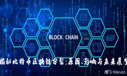 揭秘比特幣區(qū)塊鏈分裂：原因、影響與未來展望