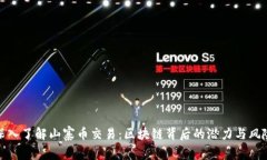 深入了解山寨幣交易：區(qū)塊鏈背后的潛力與風(fēng)險(xiǎn)