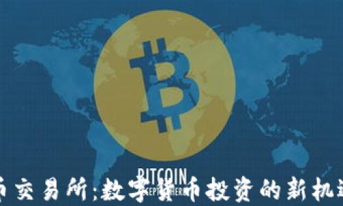 
區(qū)塊鏈幣交易所：數(shù)字貨幣投資的新機(jī)遇與風(fēng)險