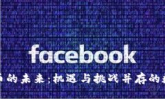 大  區(qū)塊鏈虛擬幣的未來：機遇與挑戰(zhàn)并存的數(shù)字