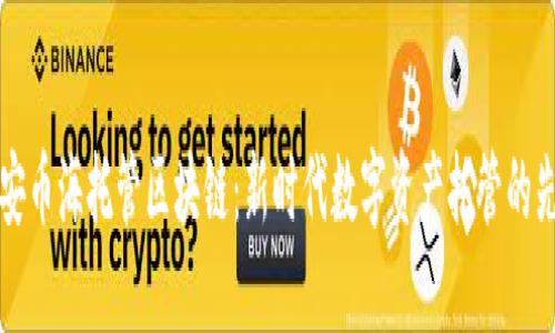 西安幣海托管區(qū)塊鏈：新時(shí)代數(shù)字資產(chǎn)托管的先鋒