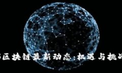 2023年帝都區(qū)塊鏈最新動(dòng)態(tài)：機(jī)遇與挑戰(zhàn)并存的未