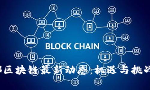 2023年帝都區(qū)塊鏈最新動(dòng)態(tài)：機(jī)遇與挑戰(zhàn)并存的未來(lái)