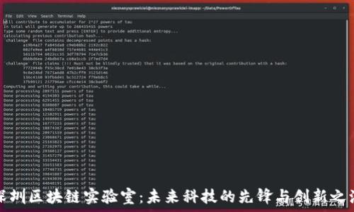   
深圳區(qū)塊鏈實驗室：未來科技的先鋒與創(chuàng)新之源