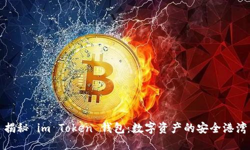 揭秘 im Token 錢包：數(shù)字資產(chǎn)的安全港灣