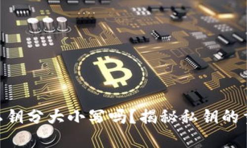 imToken錢包私鑰分大小寫(xiě)嗎？揭秘私鑰的重要性及安全性
