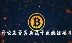 探索Pi幣：揭開它是否真正屬于區(qū)塊鏈項(xiàng)目的神秘