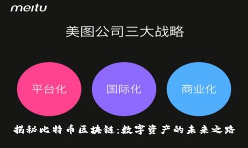 揭秘比特幣區(qū)塊鏈：數(shù)字資產(chǎn)的未來之路