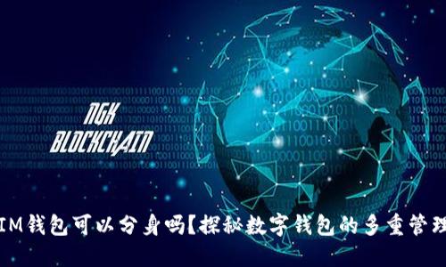 IM錢包可以分身嗎？探秘?cái)?shù)字錢包的多重管理