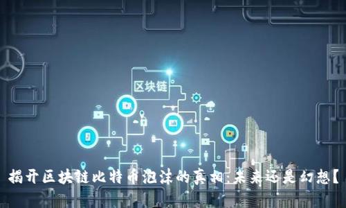 揭開區(qū)塊鏈比特幣泡沫的真相：未來還是幻想？