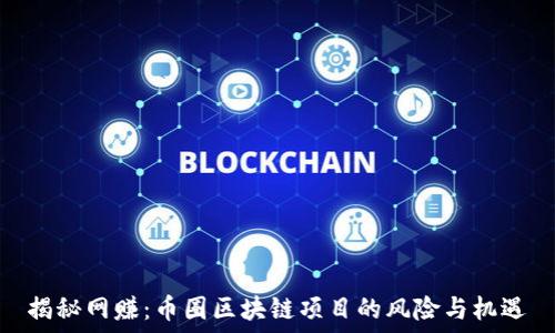  
揭秘網(wǎng)賺：幣圈區(qū)塊鏈項(xiàng)目的風(fēng)險(xiǎn)與機(jī)遇