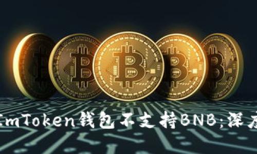 “為何ImToken錢(qián)包不支持BNB：深度解讀”