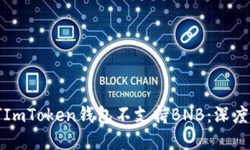 “為何ImToken錢(qián)包不支持BNB：深度解讀”