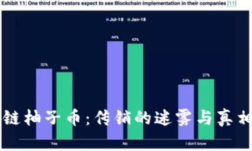 區(qū)塊鏈柚子幣：傳銷的迷霧與真相探尋