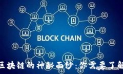   揭開比特幣區(qū)塊鏈的神秘面紗：你需要了解的所