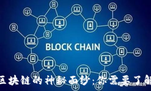   
揭開比特幣區(qū)塊鏈的神秘面紗：你需要了解的所有內(nèi)容