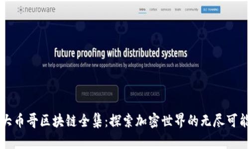 大幣哥區(qū)塊鏈全集：探索加密世界的無盡可能