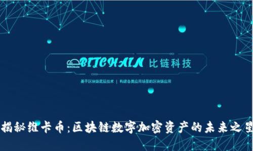 揭秘維卡幣：區(qū)塊鏈數(shù)字加密資產(chǎn)的未來(lái)之星