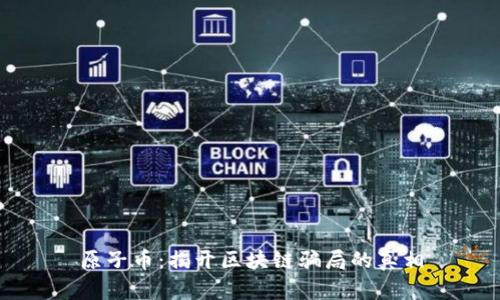 原子幣：揭開區(qū)塊鏈騙局的真相